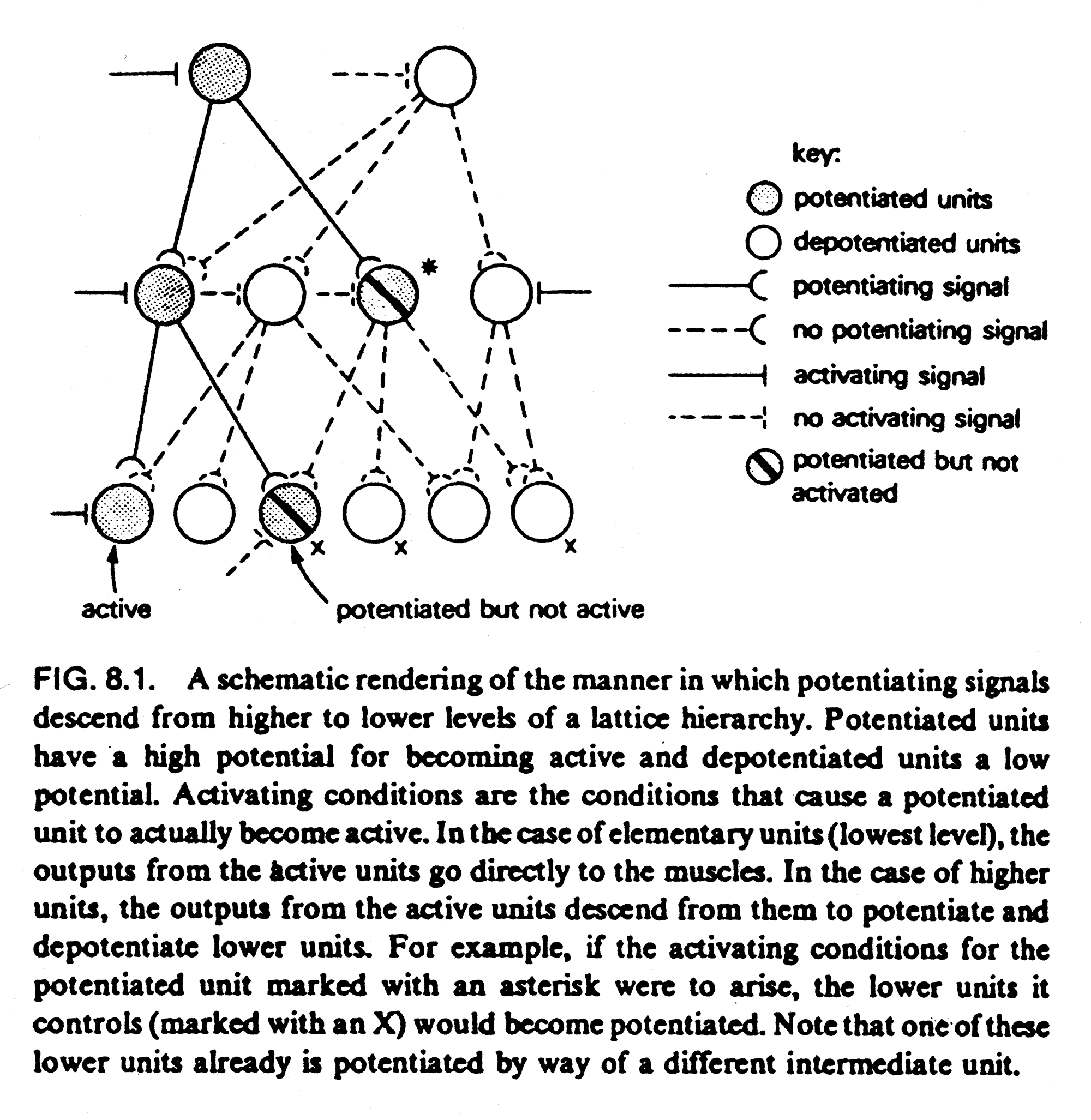 Figure 4: Skematisk fremstilling af et latticehierarki (Gallistel, 1980, side 122)
